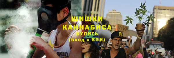 PSILOCYBIN Богородицк