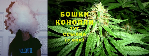 прущая мука Богданович