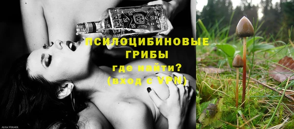 PSILOCYBIN Богородицк
