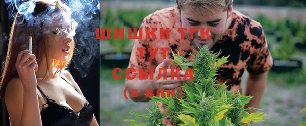 PSILOCYBIN Богородицк