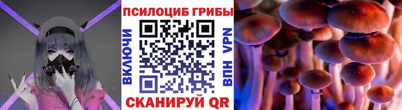 Галлюциногенные грибы Psilocybe  Шелехов 